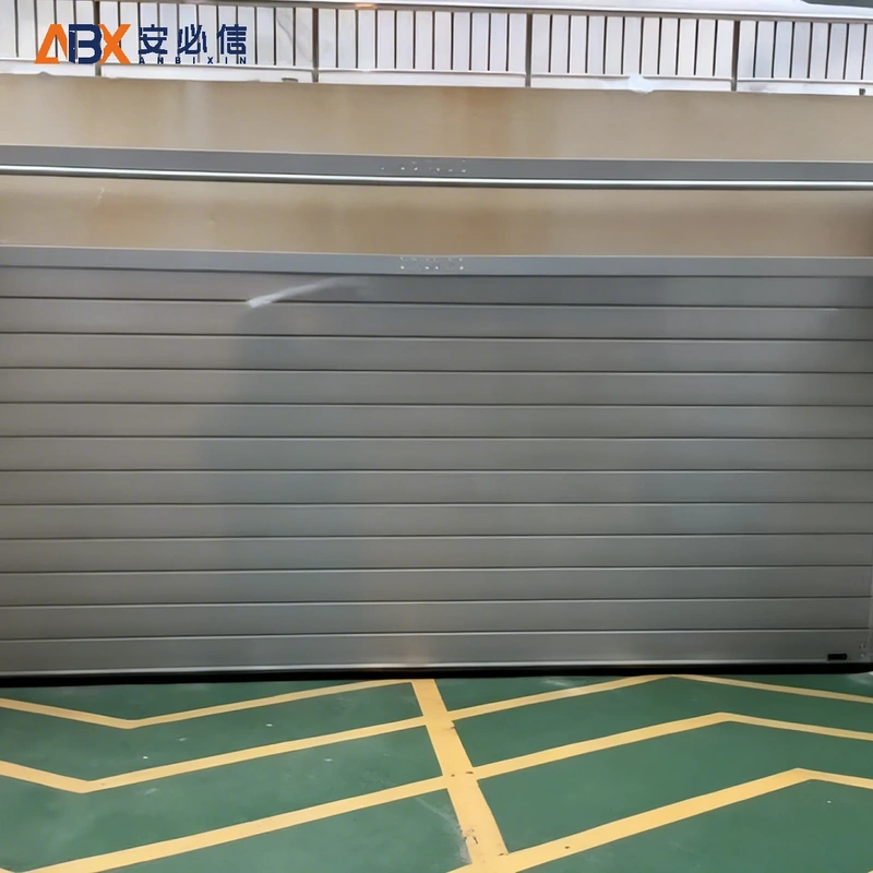 衡阳市软帘高速门